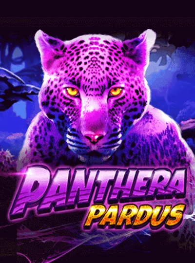 pa88 pa88